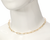 Paperclip Chain Necklace-180 Jewelry-Accessories, Chain Necklace, Gold Paperclip Chain Necklace, jewelry, Max Retail, Necklace, Paperclip Chain Necklace, Silver Paperclip Chain Necklace-[option4]-[option5]-[option6]-Womens-USA-Clothing-Boutique-Shop-Online-Clothes Minded