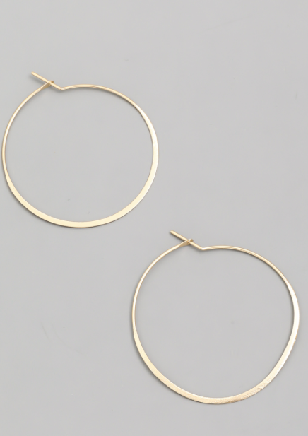 Thin Hoops-180 Jewelry-Brushed Hoops, Earrings, Hoop Earrings, Jewelry, Max Retail, Thin Hoops-[option4]-[option5]-[option6]-Womens-USA-Clothing-Boutique-Shop-Online-Clothes Minded